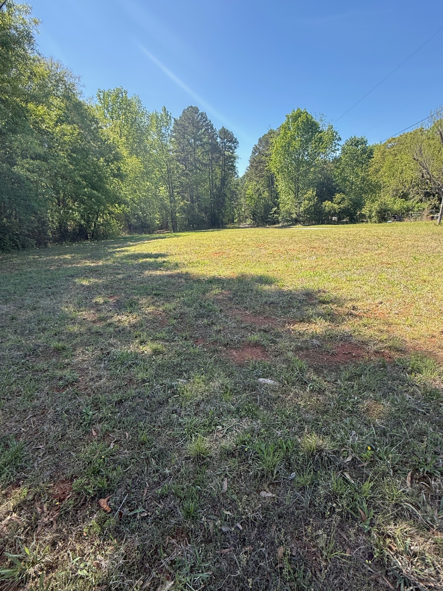 Open field and tree line at the Charlotte farm