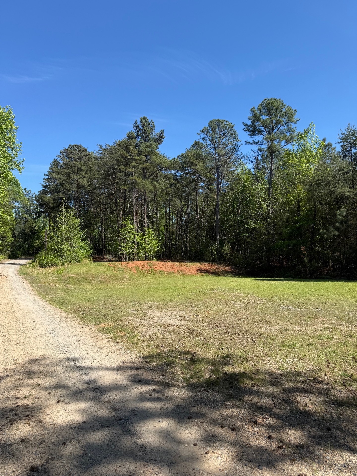 Gravel path leading to cleared field at the Charlotte property