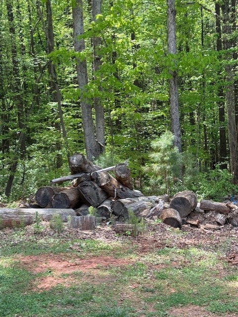 Stacked logs and site clearing at the Charlotte farm