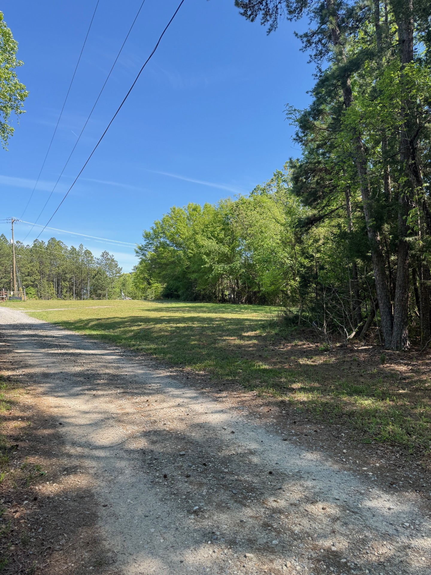 Gravel road with open field and woods at the Charlotte farm