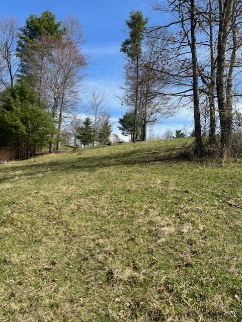 Rolling pastures in the Blue Ridge Mountains near Galax, VA